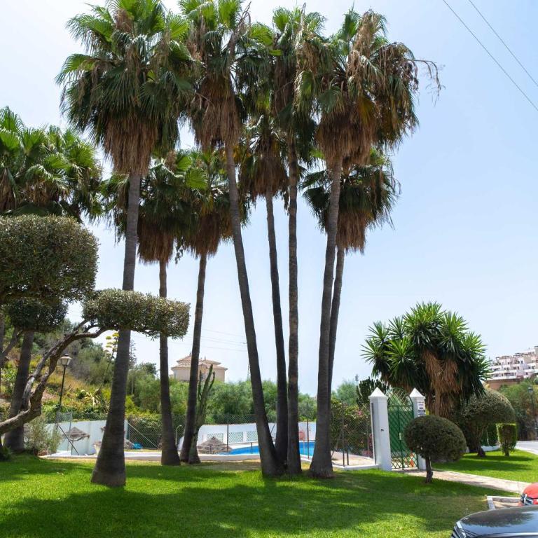 Naricha 3 Apartments Casasol - One-Bedroom Apartment - 29