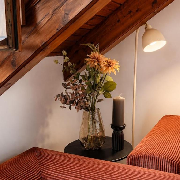 Céntrico ático de diseño con vistas al Pirineo - BENASQUE - Appartamento con 3 Camere da Letto - 19