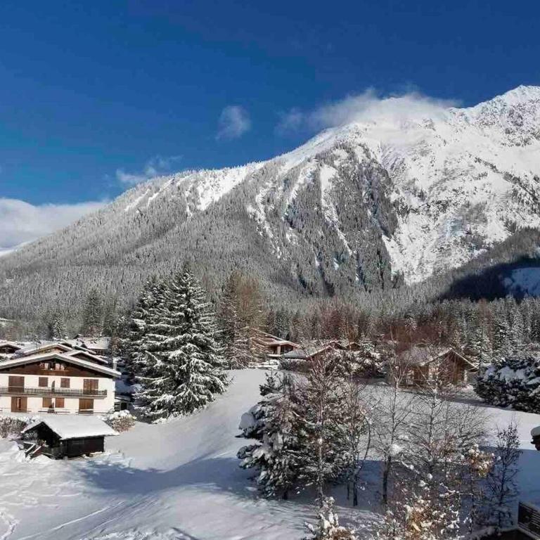 Chalet La Chapelle aux pieds des pistes - Apartment - 23