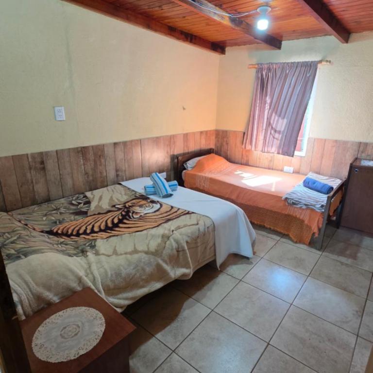 La Reina - Apartamento de 2 dormitorios - 20
