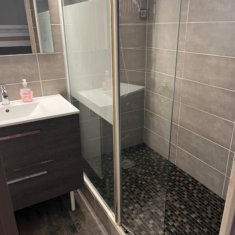 Studio rez de jardin - piscine - parking - Apartamento de 2 dormitorios - 21