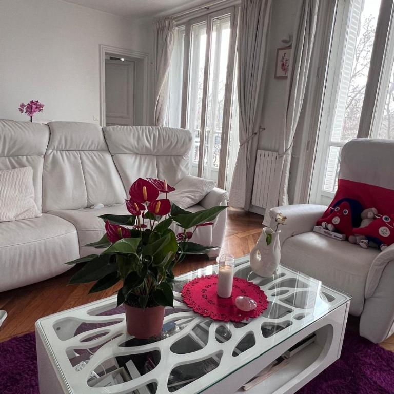 Eiffel Dream Abode - Appartement 1 Chambre - 10