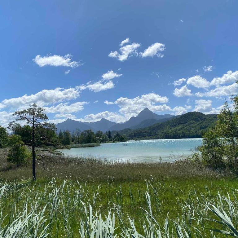Ferienhaus am Weissensee mit Seeblick Ge9 - Three-Bedroom House with Terrace - 15