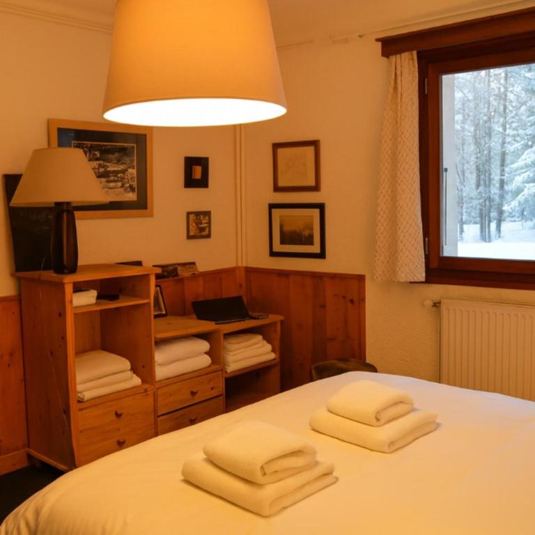 Chalet Chamonix Vue Mont-Blanc Jardin 8 pers - Chalet - 22