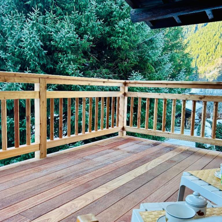 Chalet Chamonix Vue Mont-Blanc Jardin 8 pers - Chalet - 18