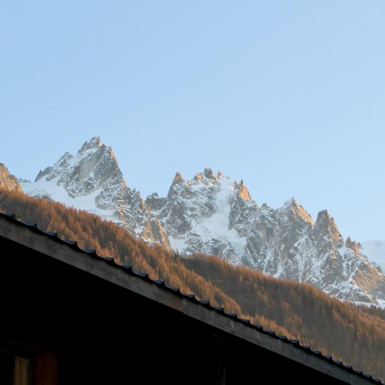 Chalet Chamonix Vue Mont-Blanc Jardin 8 pers - Chalet - 29