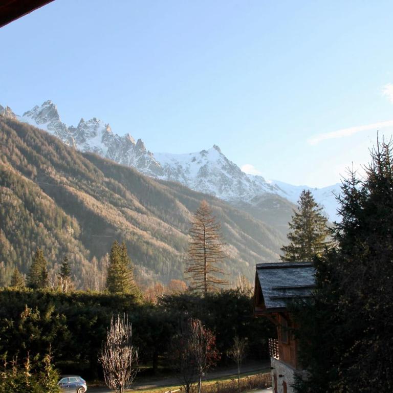 Chalet Chamonix Vue Mont-Blanc Jardin 8 pers - Chalet - 28