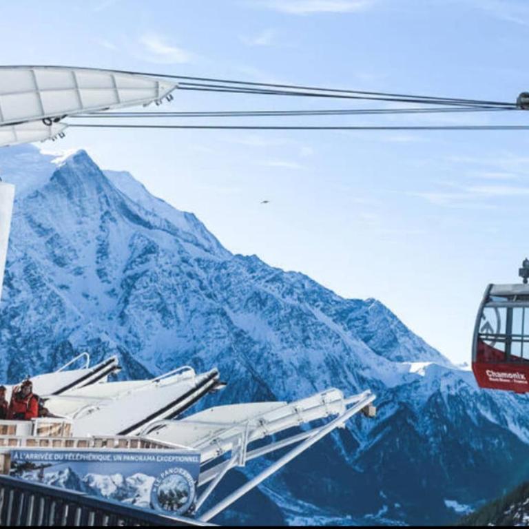 Chalet Chamonix Vue Mont-Blanc Jardin 8 pers - Chalet - 27