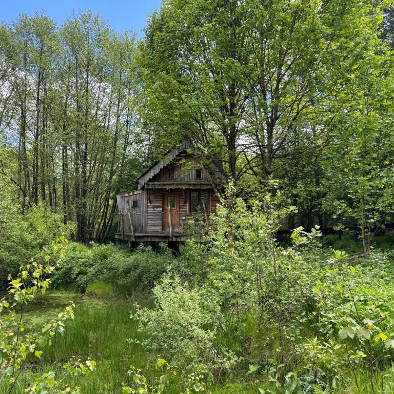 Cabane du Pêcheur - Clairière aux cabanes - Bol d'air - Doppelzimmer - 4