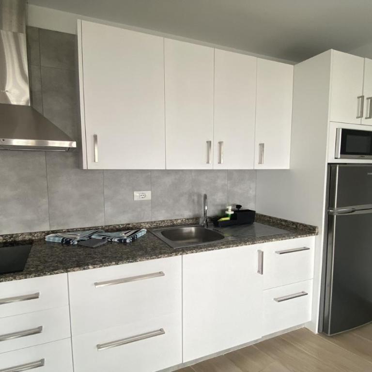El BAJIO 205 - Apartamento de 1 dormitorio - 14