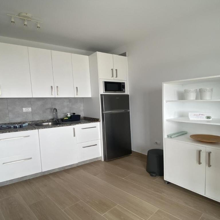 El BAJIO 205 - Apartamento de 1 dormitorio - 15