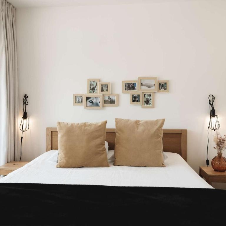 Appartement rénové 47m² - 6 pers, proche pistes et commodités, quartier animé, parking inclus - FR-1-545-32 - Apartment - 14