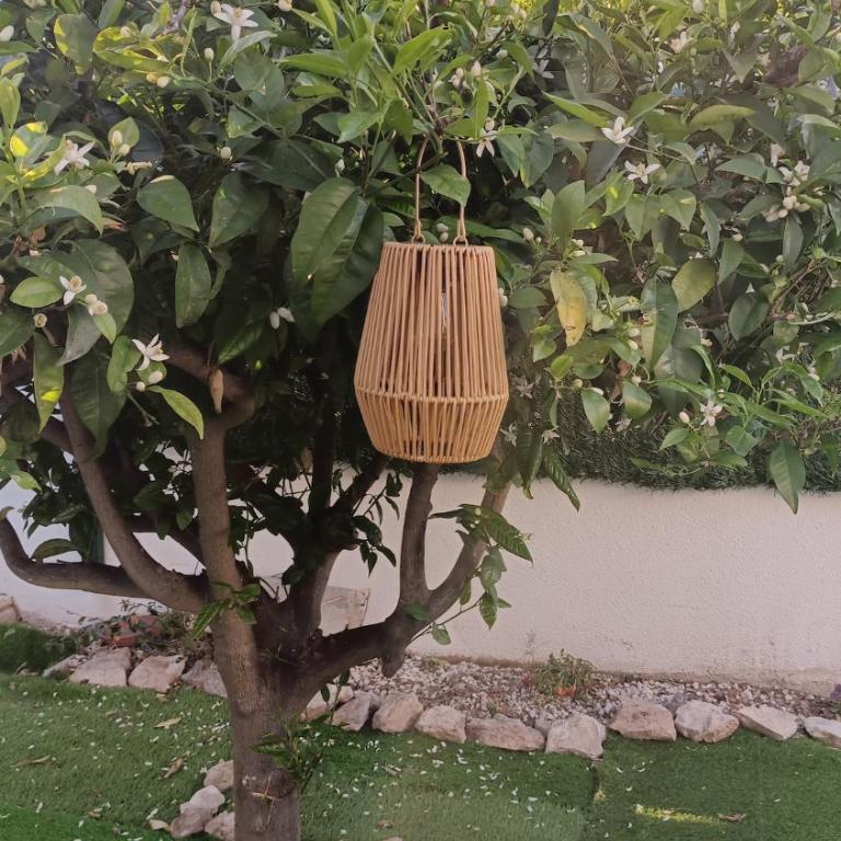Villamartin Costa Blanca - Apartment mit 1 Schlafzimmer - 19