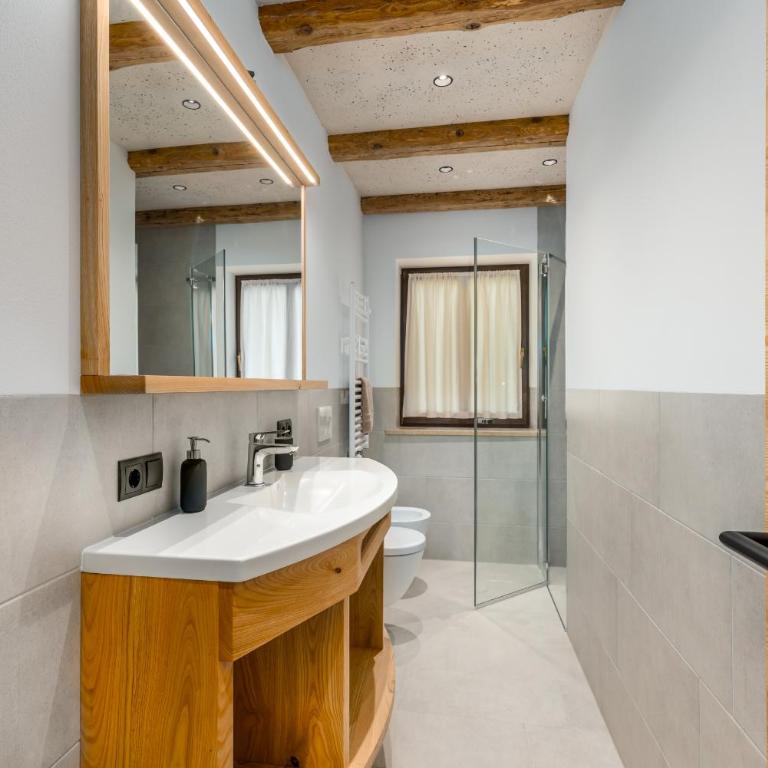 Plauserhof - Appartamento con 1 Camera da Letto - 8