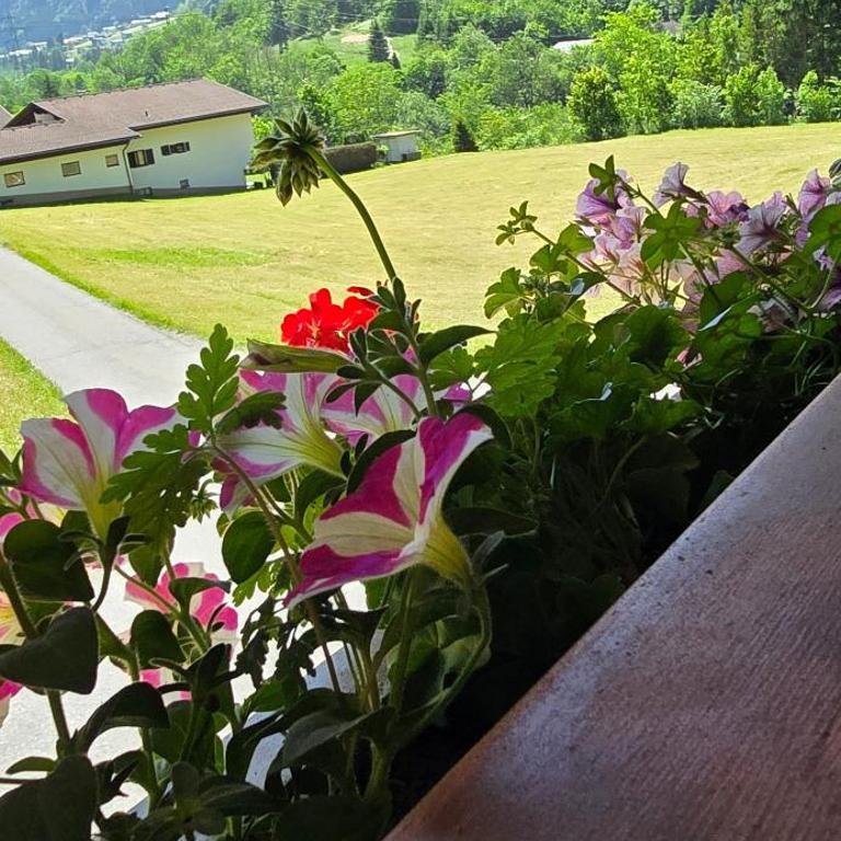 Wohnung in St. Gallenkirch Montafon - Premium Apartment mit 3 Schlafzimmern und Balkon - 24