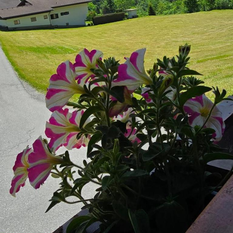 Wohnung in St. Gallenkirch Montafon - Premium Apartment mit 3 Schlafzimmern und Balkon - 22