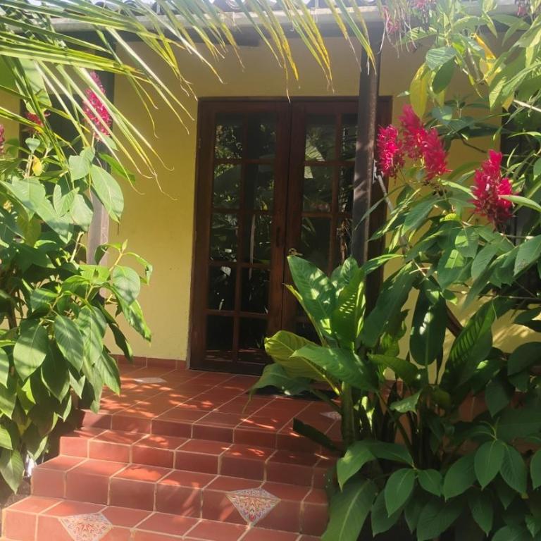 Bosque Azul Picaflor - Casa con 1 dormitorio - 1