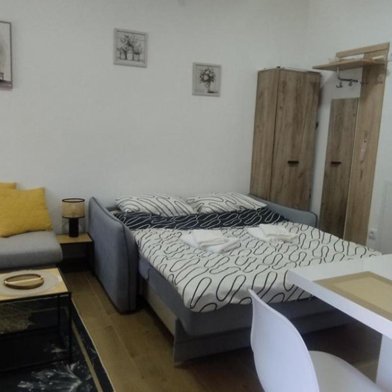Z apartman - Apartman sa 1 Spavaćom Sobom - 11