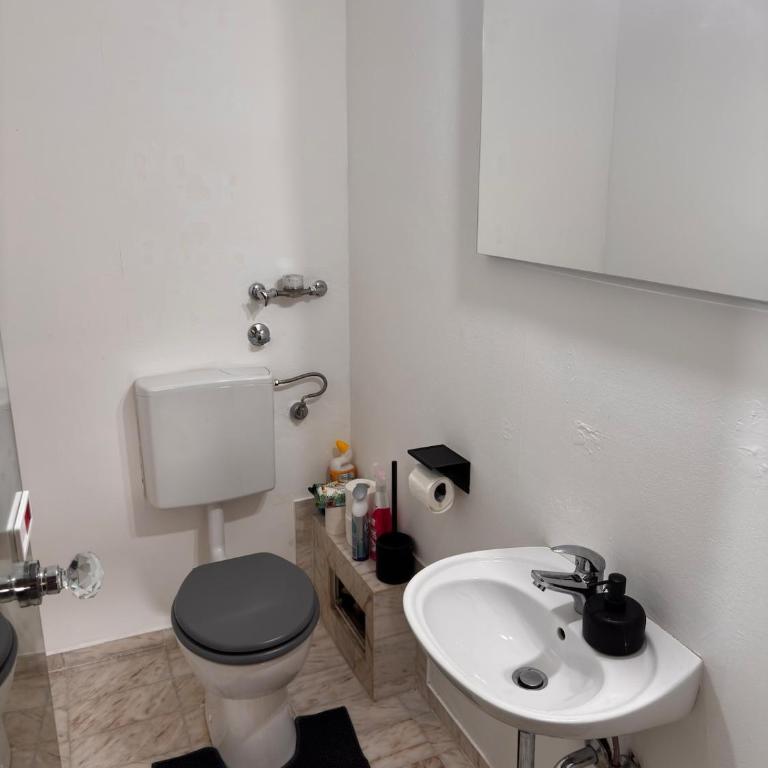 Luxury garden apartment Arabella Park 15 minutes to the city Oktoberfest - Three-Bedroom Apartment - 6