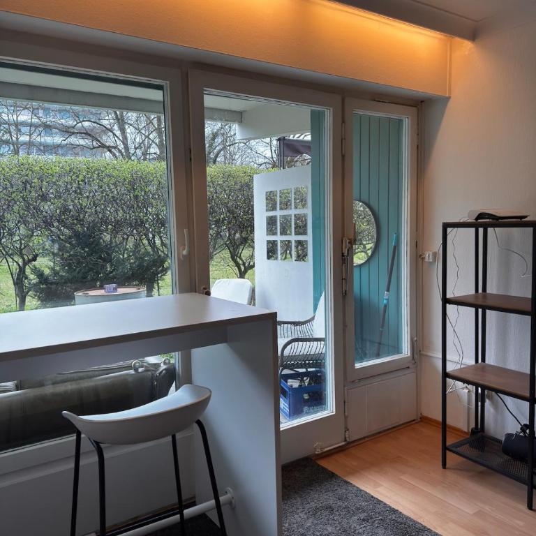 Luxury garden apartment Arabella Park 15 minutes to the city Oktoberfest - Three-Bedroom Apartment - 12