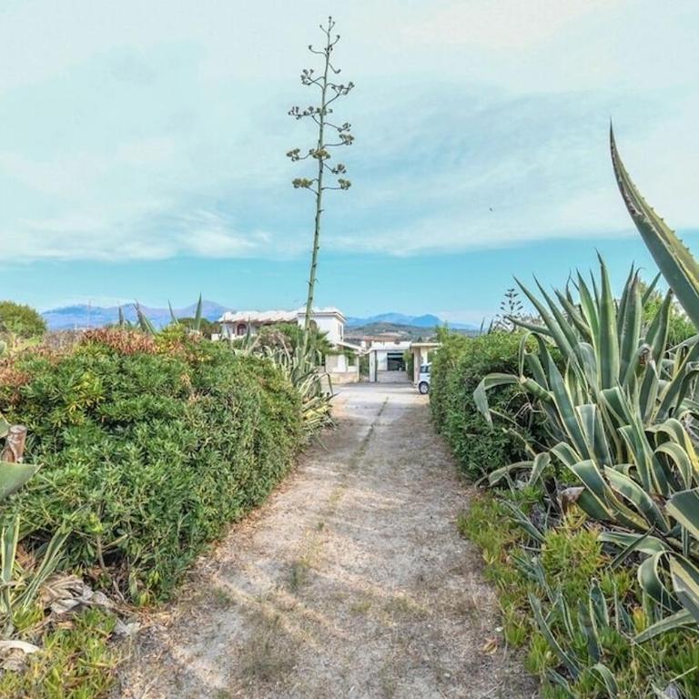 2-Casa sul mare con piscina vicino Cefalù - One-Bedroom Apartment - 8