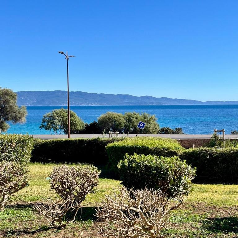 Studio grand confort-Marinella-Face mer-Terrasse - Appartement 1 Chambre - 32