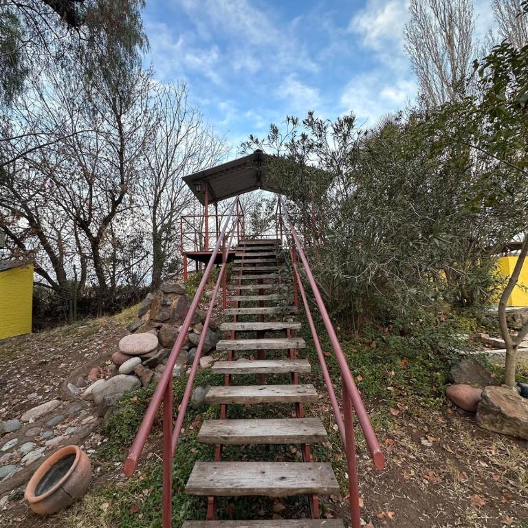 Quinta Pedriel - Casa de 3 dormitorios - 5