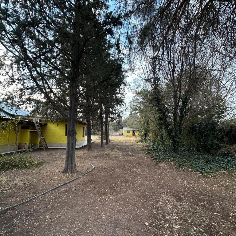 Quinta Pedriel - Casa de 3 dormitorios - 26