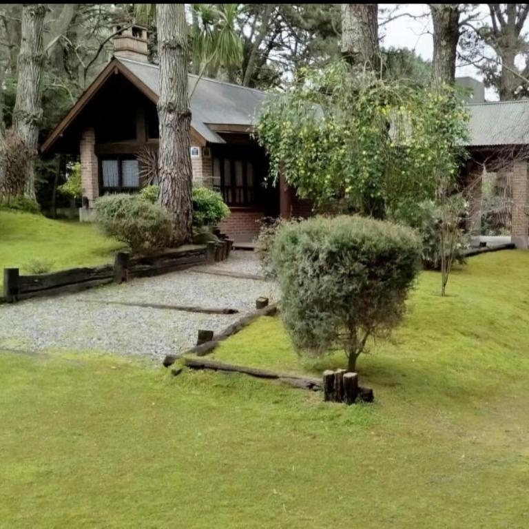Tulipanes - Casa de 2 dormitorios - 10