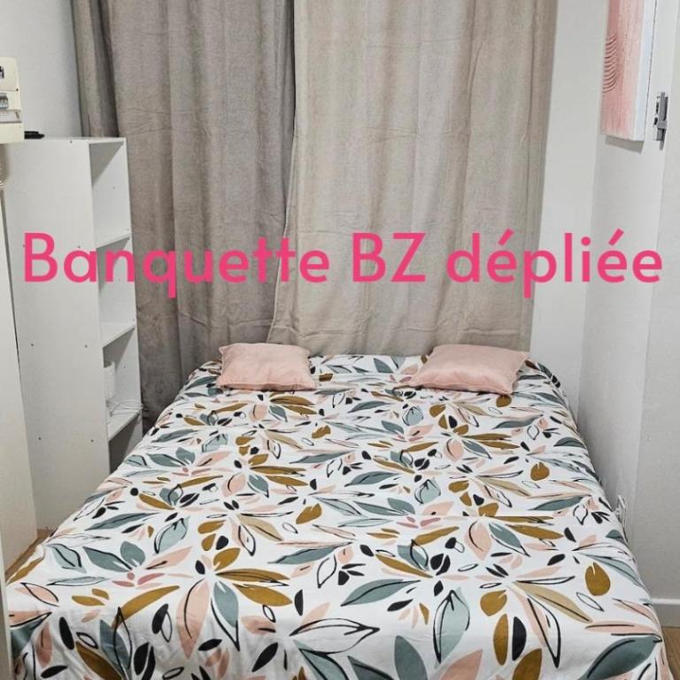 S2 Studio charmant et cosy tout équipé à 10 min gare - Apartment mit 1 Schlafzimmer - 5