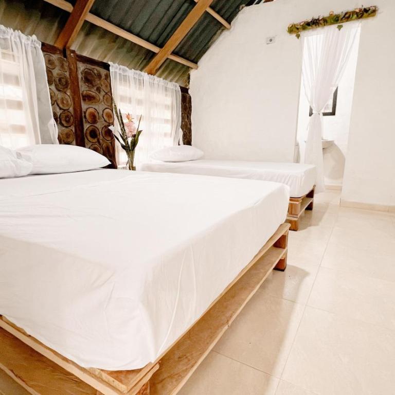 Equilibrio Eco Hotel Amazonic - Twin Room - 1