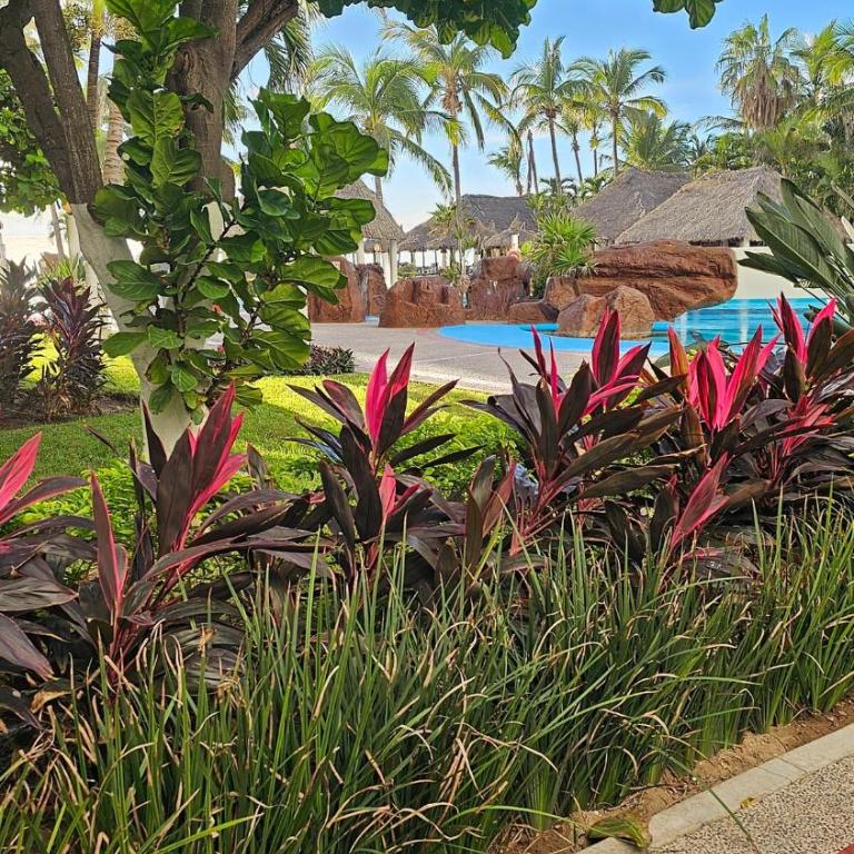 Beachfront Condo - Quintas del Mar - 7th floor - Apartamento de 2 dormitorios - 14