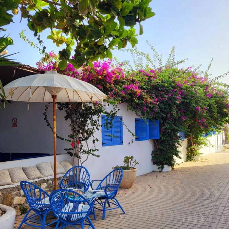 Peces en la Higuera - Apartamento de 1 dormitorio - 39