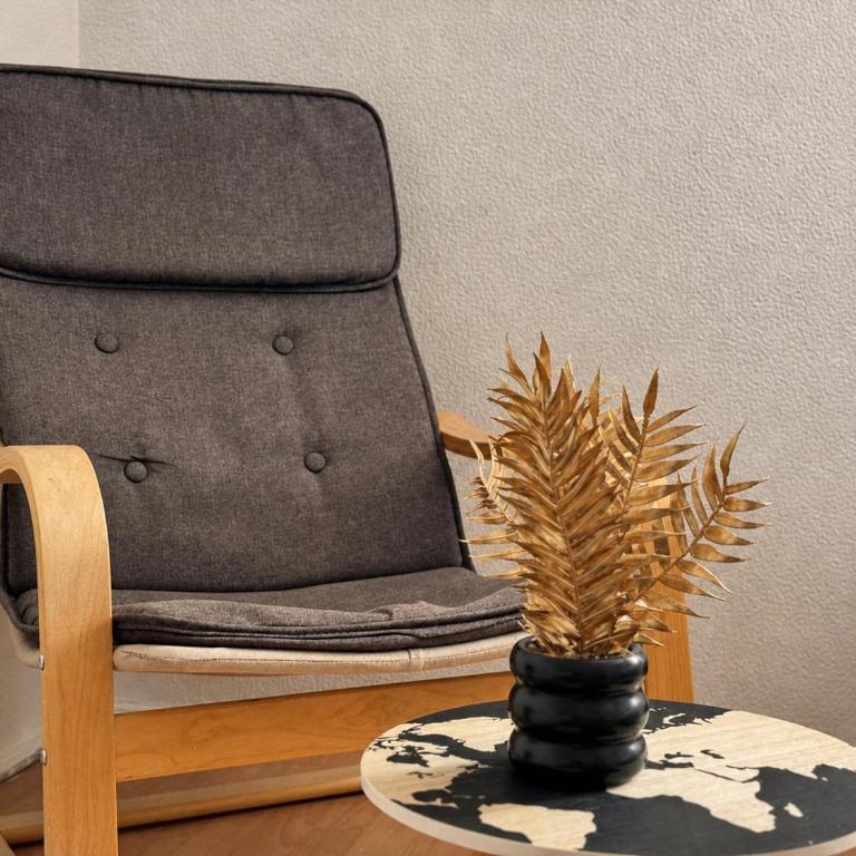 Studio cosy avec terrasse - Aix-les-Bains - Appartement 1 Chambre - 5