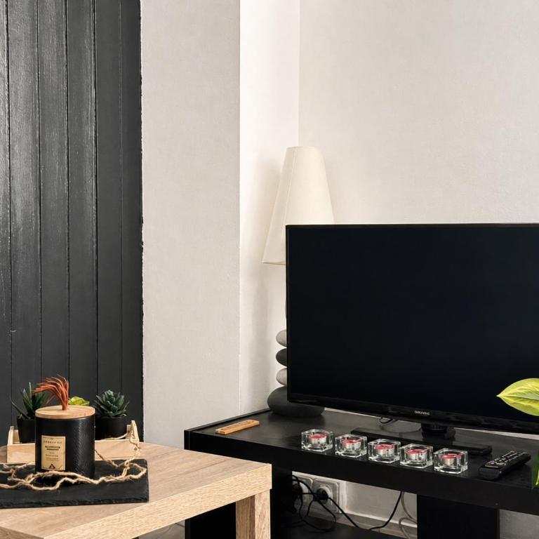 Studio cosy avec terrasse - Aix-les-Bains - Appartement 1 Chambre - 19
