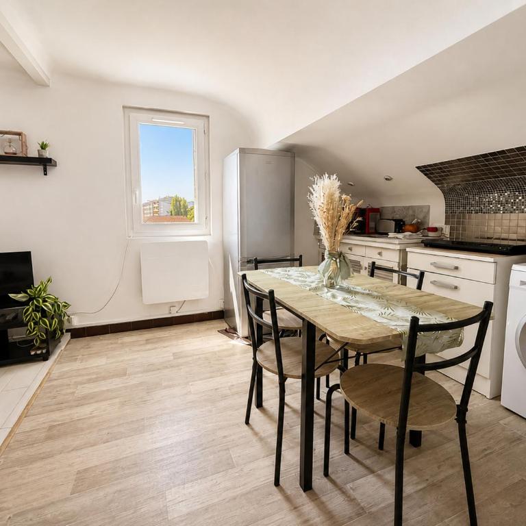 Studio cosy avec terrasse - Aix-les-Bains - Appartement 1 Chambre - 17