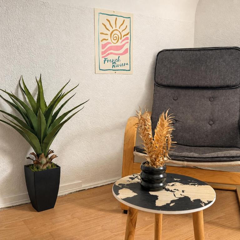 Studio cosy avec terrasse - Aix-les-Bains - Appartement 1 Chambre - 12