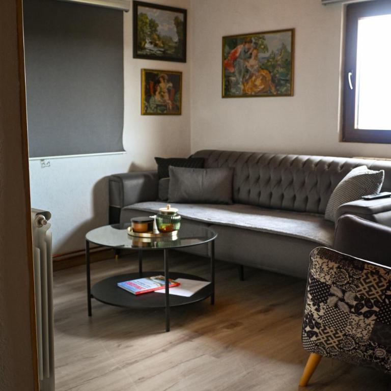 Vila Gorska - Apartman sa 2 Spavaće Sobe - 37
