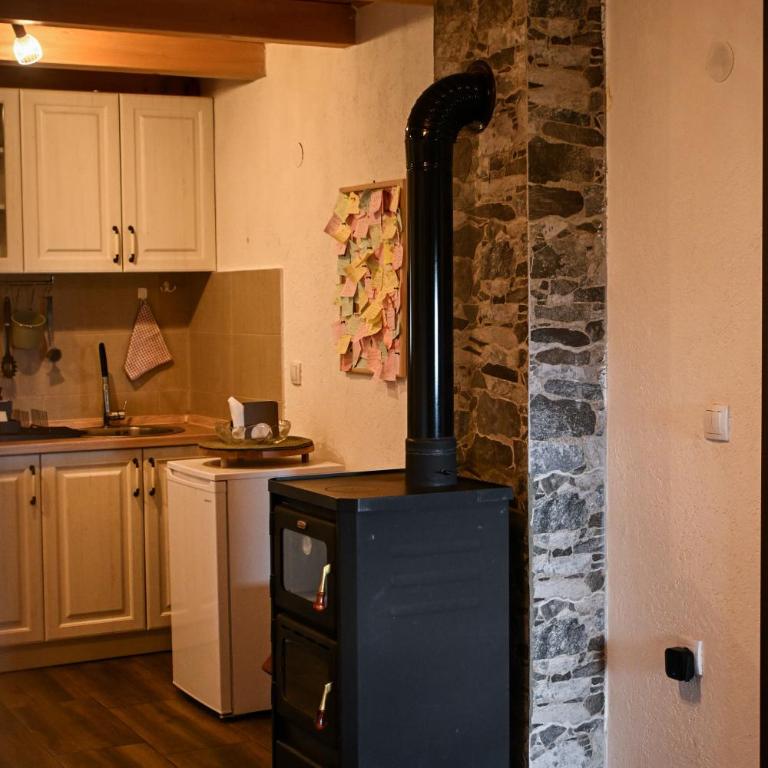 Vila Gorska - Apartman sa 2 Spavaće Sobe - 45