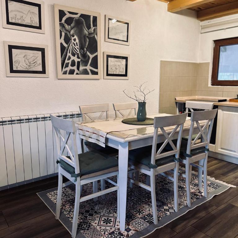 Vila Gorska - Apartman sa 2 Spavaće Sobe - 46