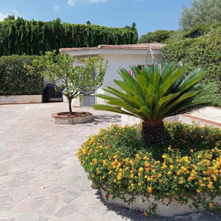Blu Relax - Fontane Bianche House - Villa con 3 Camere da Letto - 13