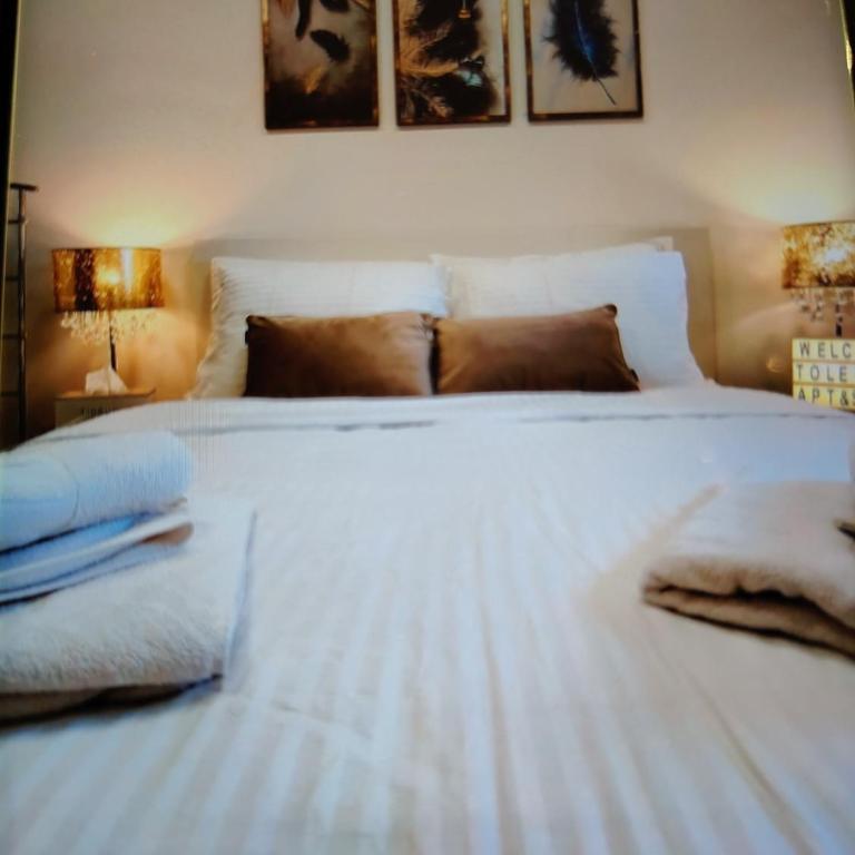 BlueStar Apt & Spa Zlatibor - Apartment mit 1 Schlafzimmer - 7