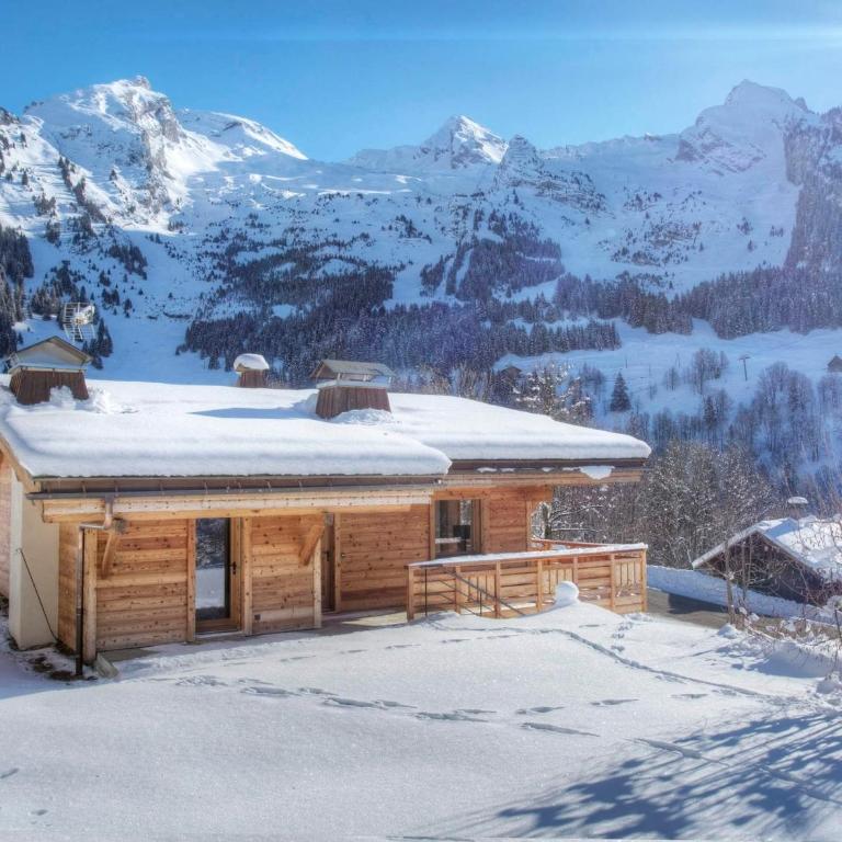 Chalet luxe 5★, 6 pers, hammam, près des pistes, 3 chambres - FR-1-304-305 - Chalet - 20