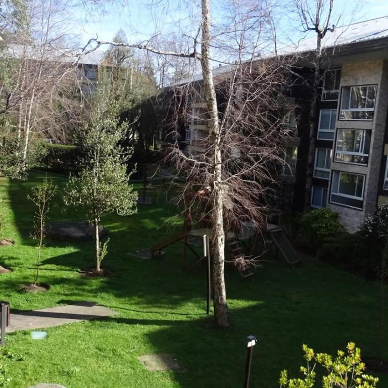 Excelente Departamento en Pucón, camino al volcan - Apartamento de 2 dormitorios - 3