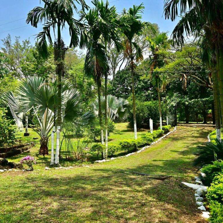 Finca la Martina - Casa Campestre - Casa de 3 dormitorios - 5