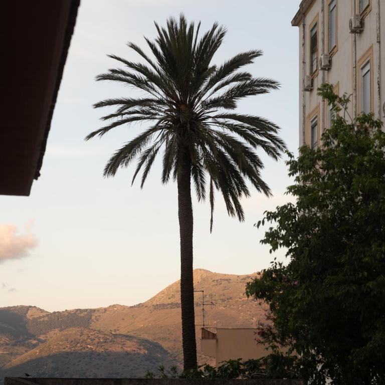 The Best View Sicily Apart - Appartamento - 8