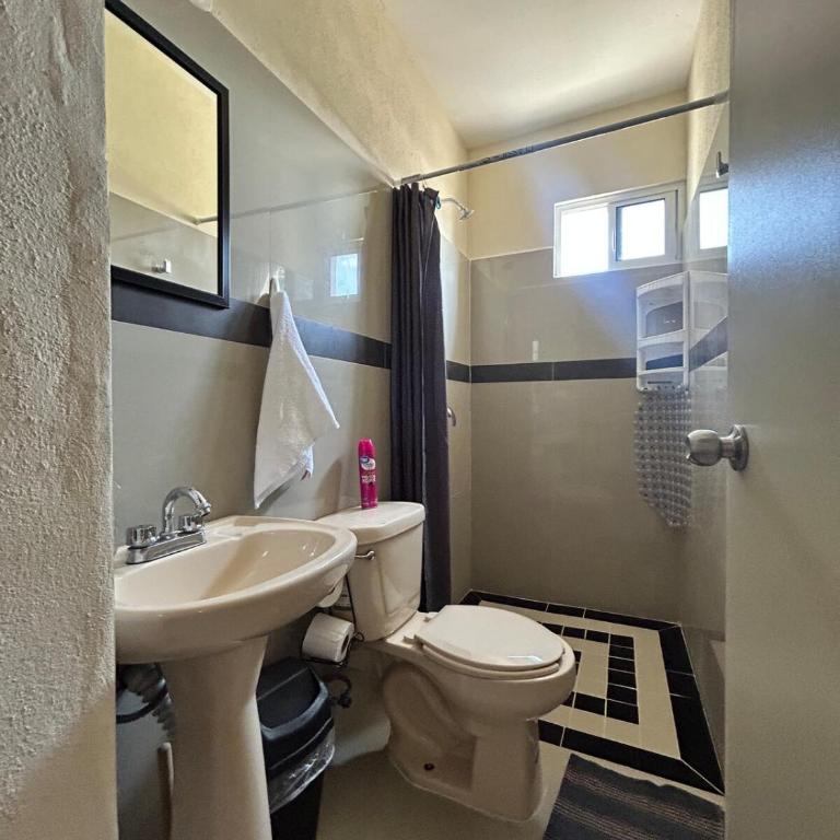 Rest, location and comfort - Apartamento de 3 dormitorios - 16