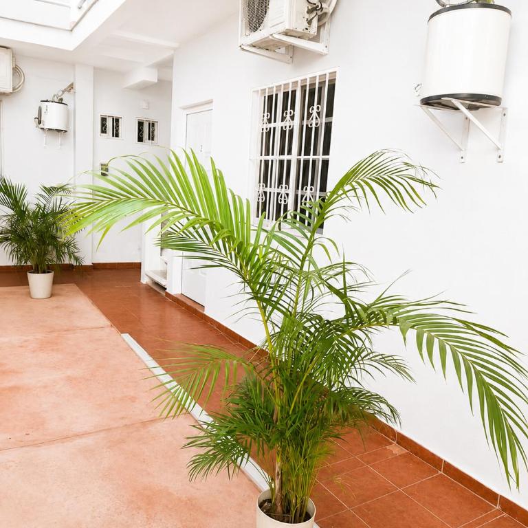 Jardines del Mar by La Cultura Suites - Boutique Studios Playa del Carmen - Estudio Familiar - 6