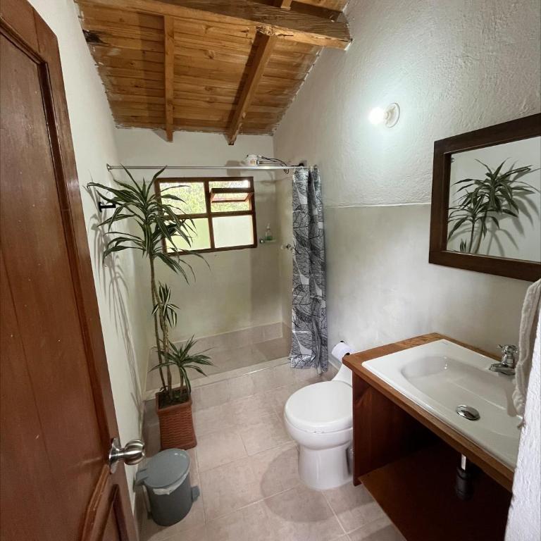 Zuna - Suite Familiar con balcón - 11