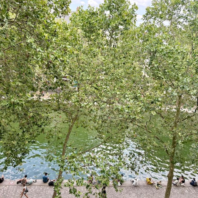 Bright flat with terrace & vue on Canal St Martin - Appartement avec Vue et Balcon - 8